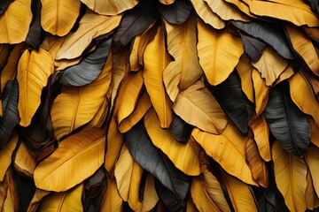 Dried banana leaves abstract pattern