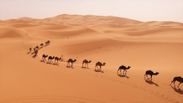 Merzouga desert sahara morocco