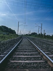 Vertical shot of the railway trails through a green field on a sunny day
