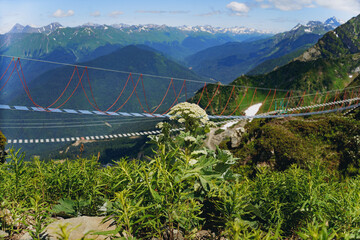 rope suspension bridge in caucasus mountains, Russia, Rosa Khutor resort