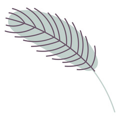 Fototapeta premium fern leaf isolated on white