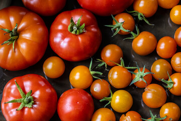 Ripe tomatoes in different sizes.