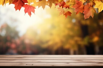 Naklejka na ściany i meble Beautiful Autumn background with space for text. Autumn seasonal concept.