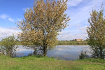Gorgeous view of a sunny grass field and lush trees around a quiet river reflecting the cloudy sky