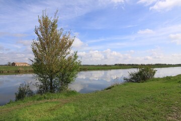 Obraz premium Gorgeous view of a sunny grass field and lush trees around a quiet river reflecting the cloudy sky