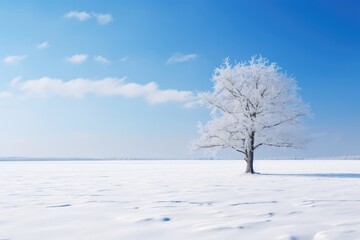 Fototapeta premium A lonely winter tree covered by heavy snow. Winter seasonal concept.