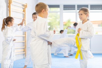 Obraz premium Young children partners pupils are trained to perform defensive karate installations and attacking actions for combat techniques classes. Work on yourself, increase endurance, determination, courage