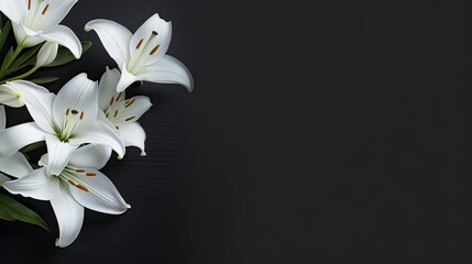 A minimalist layout of white lilies on a charcoal background. Minimalist card with copy space. 
