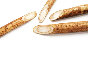 Burdock Root (Gobo) on white background.