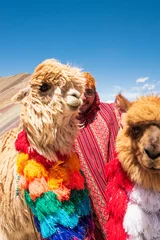 Fototapete Vinicunca peruvian alpacas and tourist in cusco vinicunca rainbow montain