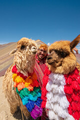 peruvian alpacas and tourist in cusco vinicunca rainbow montain