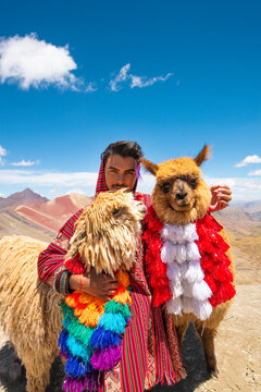 peruvian alpacas and tourist in cusco vinicunca rainbow montain