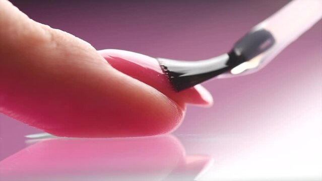 Applying Nail polish, pink shellac UV gel, varnish, manicure process concept in beauty salon. Transparent top coat drop on brush. Over pink background. Application of nail polish