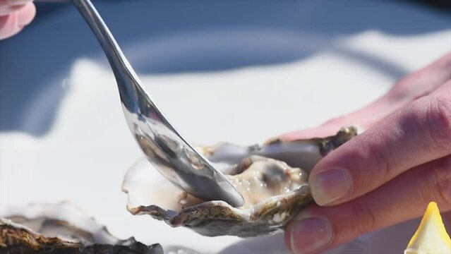 Person eating oysters close up. Oysters on ice with lemon closeup. Man eating Fresh Oyster on half shell on big plate in restaurant. Served table. Slow motion