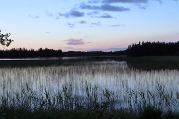 Nature and lake. Swedish summer. Jämtland, Sweden.