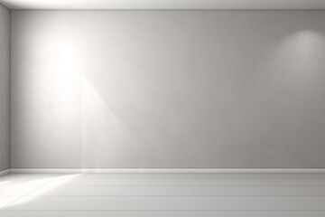 Beautiful versatile light grey empty background, with shadow light, for product presentation