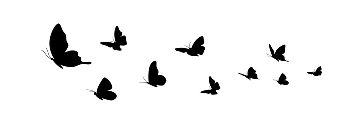 flock of butterflies silhouette illustration - obrazy, fototapety, plakaty