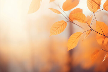 Naklejka na ściany i meble Beautiful orange fall leaves against a blurry nature background