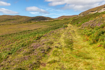 Granuaile Loop Walk Trail cover by flowers and vegetation