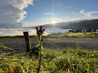 Fototapeta premium Sonnenaufgang berge