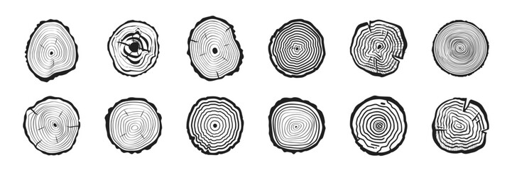 Wood Tree Rings Vector Set. Hand drawn tree ring pattern, line ripple circle wood texture