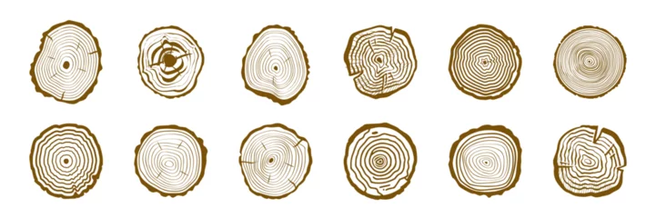 Fototapeten Wood Tree Rings Vector Set. Wood Tree Trunk Rings © Tata