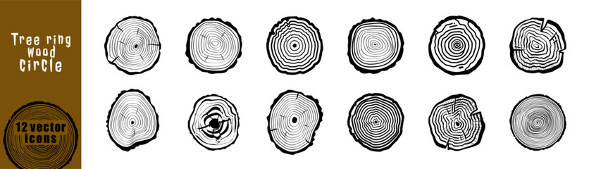 Wood Tree Rings Vector Set. Hand drawn tree ring pattern, line ripple circle wood texture