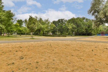 a park with trees and grass in the foreground is clear blue skies, white clouds and some green leaves