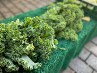 Fresh green Kale leaves on a market close up, kale traditional winter vegetable green cabbage