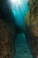Underwater corridor between large rocks with sunlight in the Mediterranean sea, natural scene, France, Occitanie, Pyrenees-Orientales