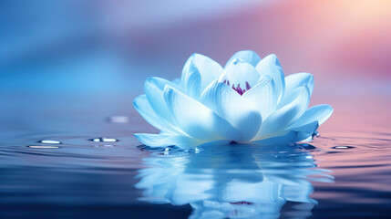 Serene flower floats, echoing the grace of tranquil waters - obrazy, fototapety, plakaty