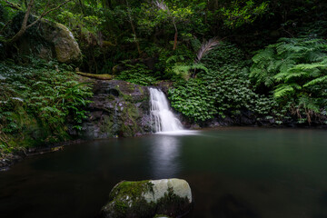 waterfall in the forest