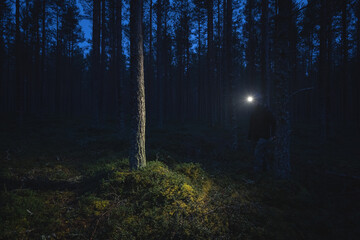 A man with a headlamp wanders through a pine dark forest.