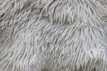 Sheep fur texture, white or gray animal patterns for nature background close up