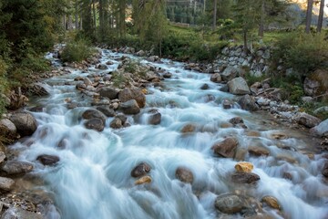 Beautiful fast-flowing river in the rocky mountains among the pine trees