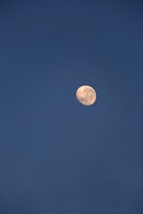 Vertical shot of the Moon on a blue sky background