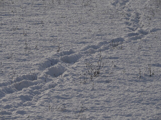 Spuren eines Spaziergängers im Schnee im Winter