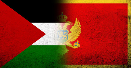 Flag of Palestine and National flag of Montenegro. Grunge background