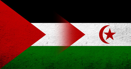 Flag of Palestine and The Sahrawi Arab Democratic Republic (Western Sahara) national flag. Grunge background
