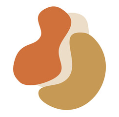 Organic Shape  Scandinavian Vector design 