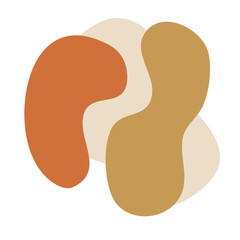 Organic Shape  Scandinavian Vector design 