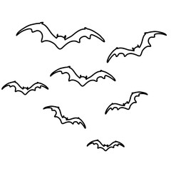 Flaying Bats Vector Lines Illustration 