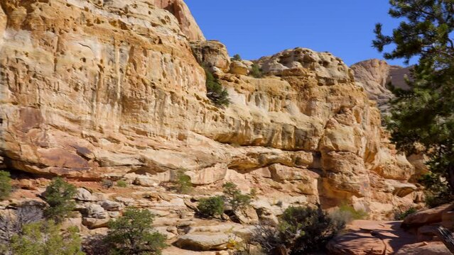Establishing shot of mountain trail with red rocks background in Hickman Natural Bridge Trail, Capital Reef National Park, Utah, North America. Day time on October 2023. Still camera view. ProRes 422 
