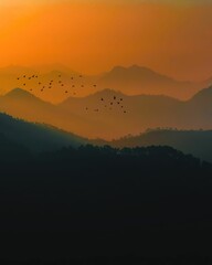 Silhouette view of a flock of birds over flying over mountains at sunset
