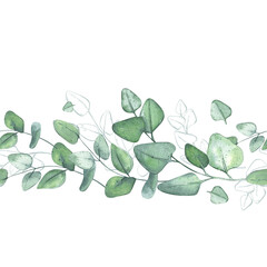 Eucalyptus. Seamless pattern border. Branches of greenery. Botanical watercolor illustration for packaging design, wallpapers, ceramics, textiles