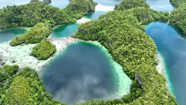 The incredibly scenic islands of Pef are fringed by mangrove trees and surrounded by beautiful coral reefs. These islands, found in northern Raja Ampat, support an amazing array of biodiversity.