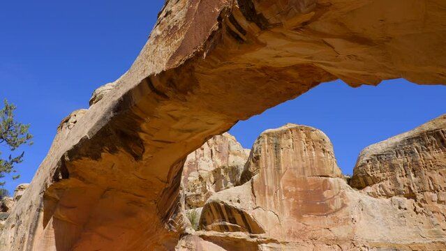 Establishing shot of mountain trail with red rocks background in Hickman Natural Bridge Trail, Capital Reef National Park, Utah, North America. Day time on October 2023. Still camera view. ProRes 422 
