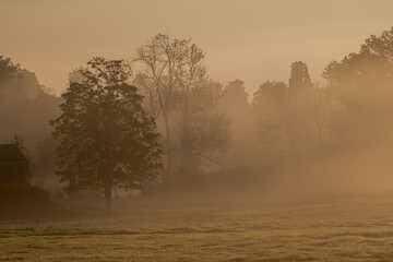 Atmospheric landscape with trees at sunrise and fog glowing orange in Bad Pyrmont, Germany.