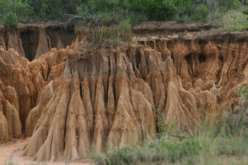landschaft baum sand fels Hügellandschaft artenschutz artenerhaltung artenvielfalt tierreich...