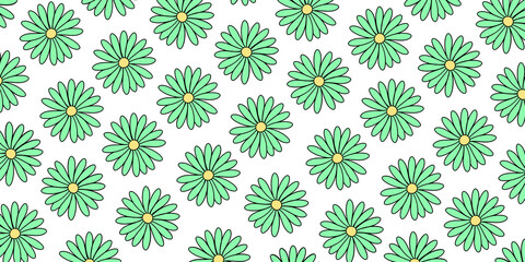 Margaritas de color verde agua sin fondo